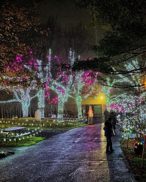 Winter Light Spectacular